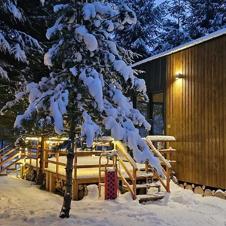Domek Pod Kozincem Zakopane Exterior photo
