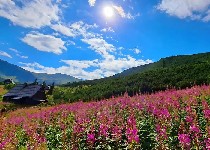 Domek Pod Kozincem Zakopane