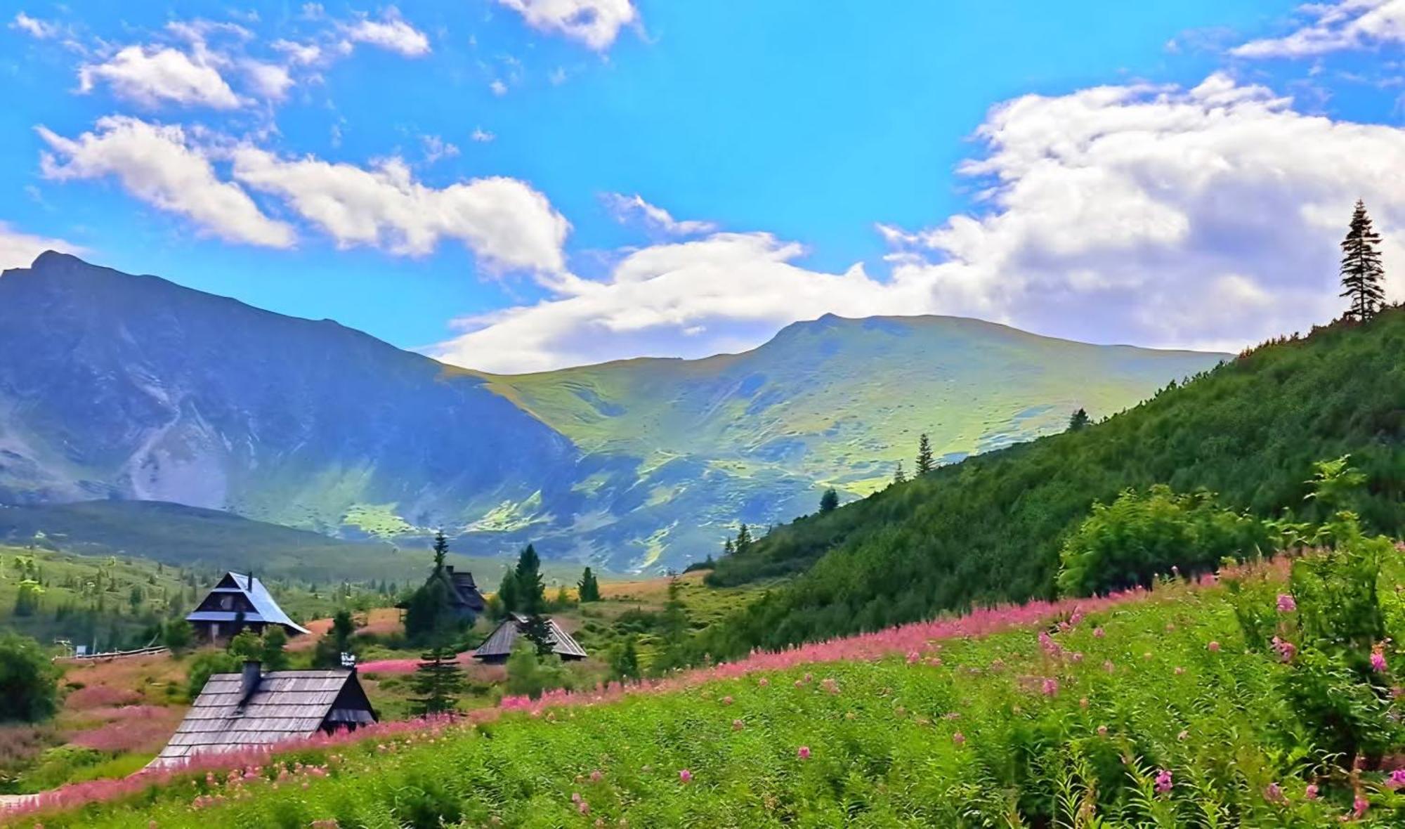 Pod Kozincem Holiday home Zakopane